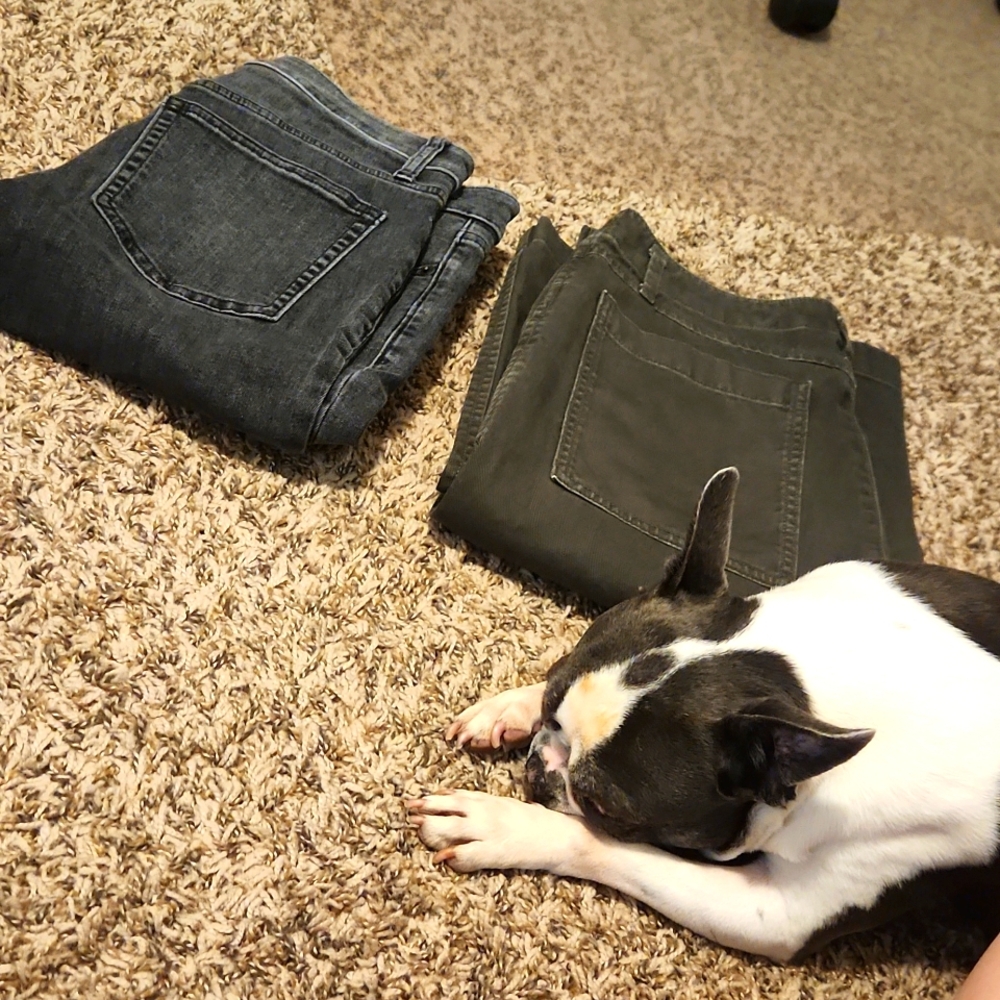 Bundle - gap pants